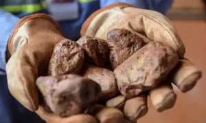 Apa Itu Bijih Bauksit? Pengertian, Proses, dan Manfaatnya